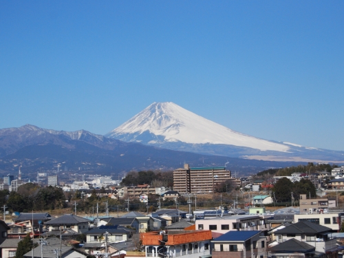 霊苑から富士山が望める絶景ビューポイント